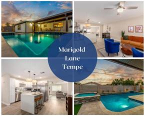Marigold Tempe